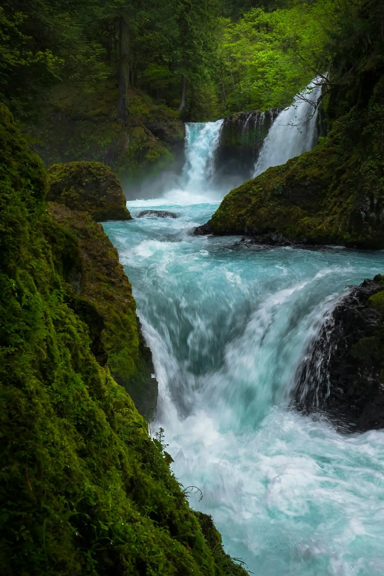 CONSTRUCCIÓN DE PATRIMONIO